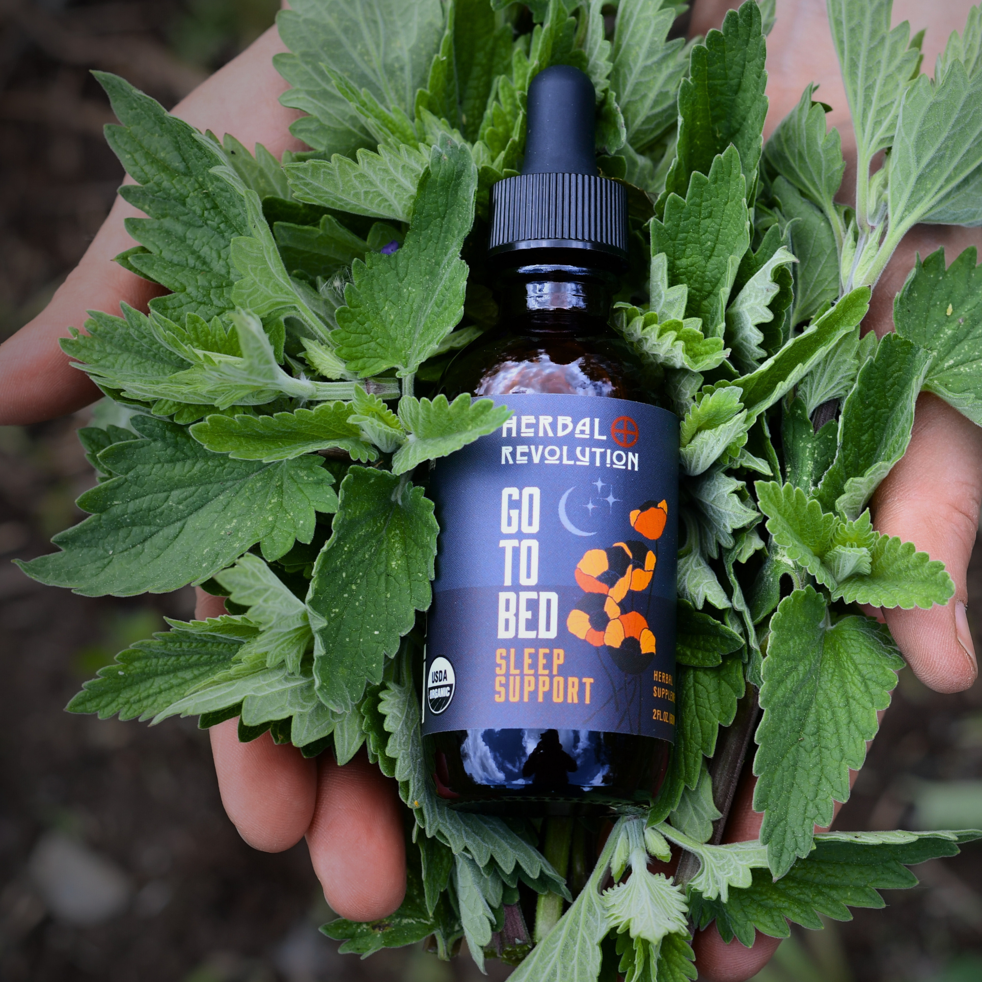 Go To Bed: Deep Sleep Elixir Herbal Tincture