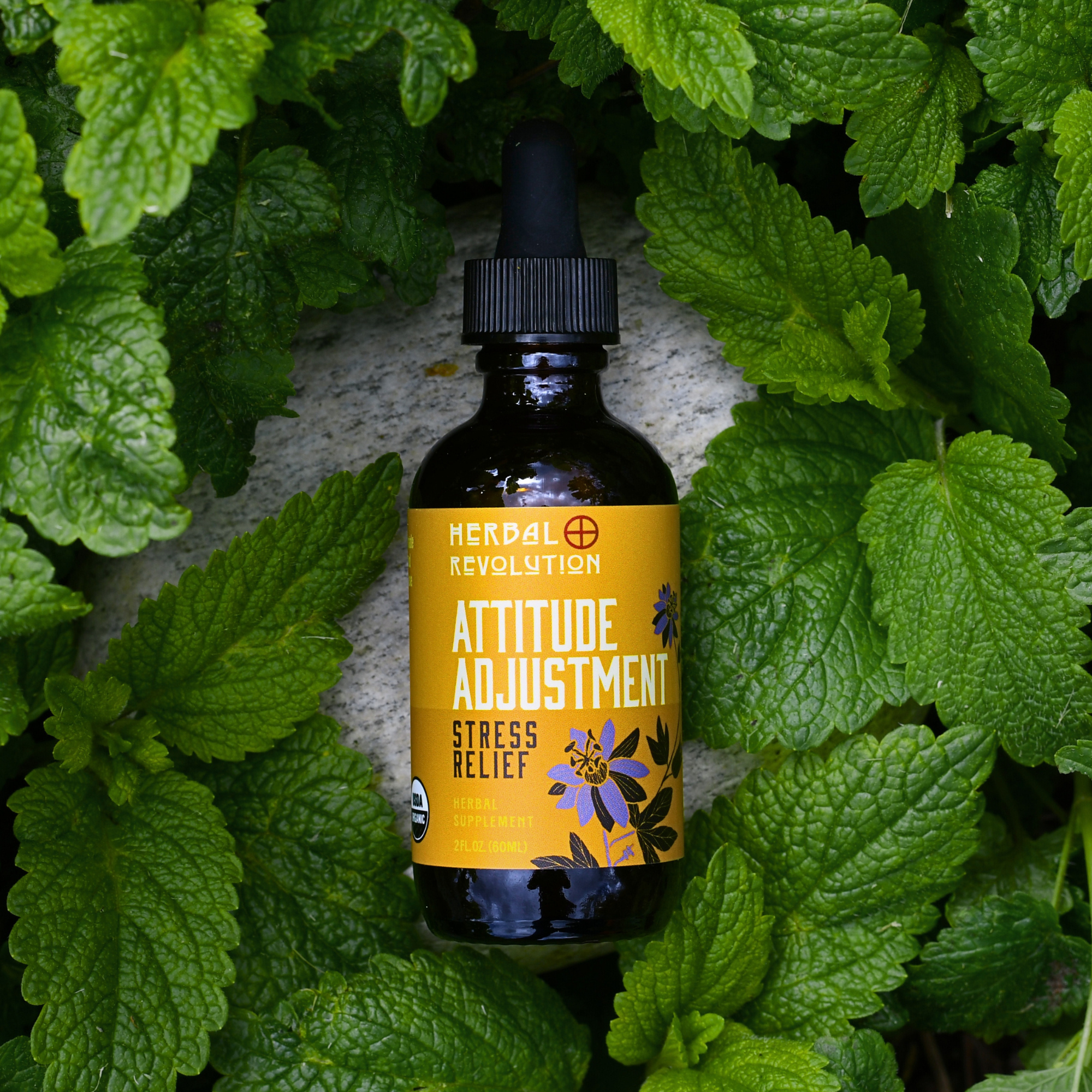 Attitude Adjustment: Stress & Anxiety Relief Elixir Herbal Tincture