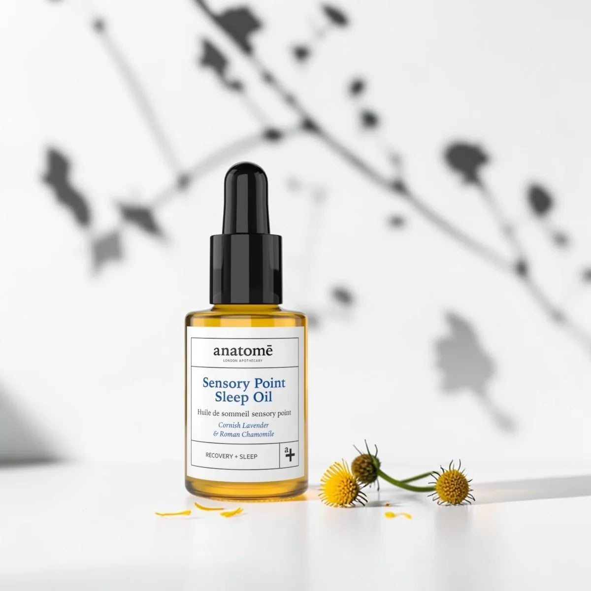 Sleep Oil - Sensory Point Sleep Oil